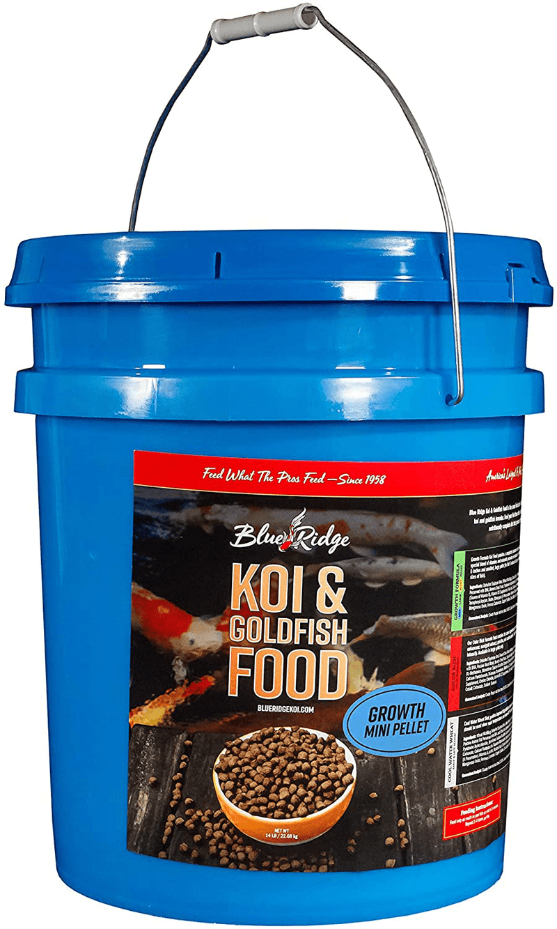 Blue Ridge Fish Food Pellets, Koi and Goldfish Growth Formula, Mini Floating Pellet, Balanced Diet