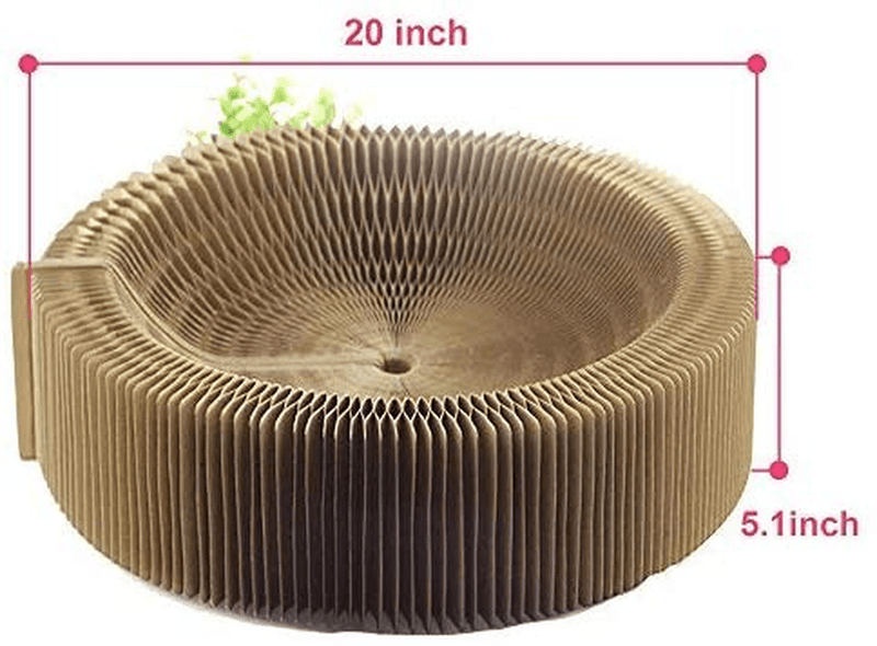 Bobbypet Cat Scratcher Lounge Bed - Collapsible round Shape for Big Cat