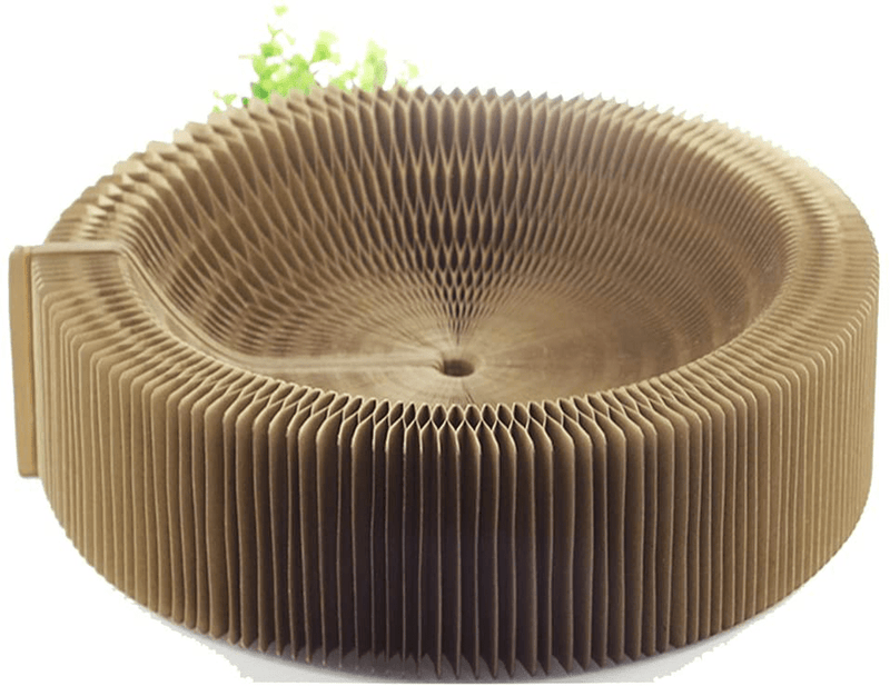 Bobbypet Cat Scratcher Lounge Bed - Collapsible round Shape for Big Cat