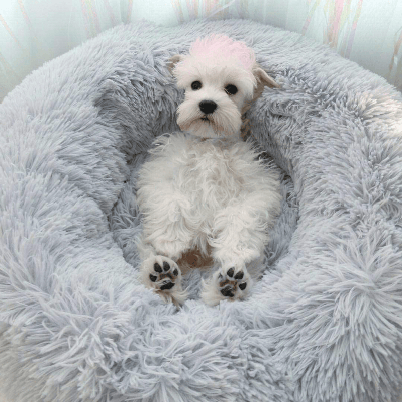 BODISEINT Modern Soft Plush Round Pet Bed for Cats or Small Dogs, Mini Medium Sized Dog Cat Bed Self Warming Autumn Winter Indoor Snooze Sleeping Cozy Kitty Teddy Kennel (M(23.6”Dx7.9 H), Light Grey)