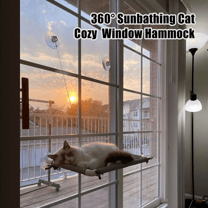Cat Window Perch Creative Cat Hammock Hanging Cat Shelves Bed with Soft Mat Pad Window Mounted Seat for Large Indoor Cats