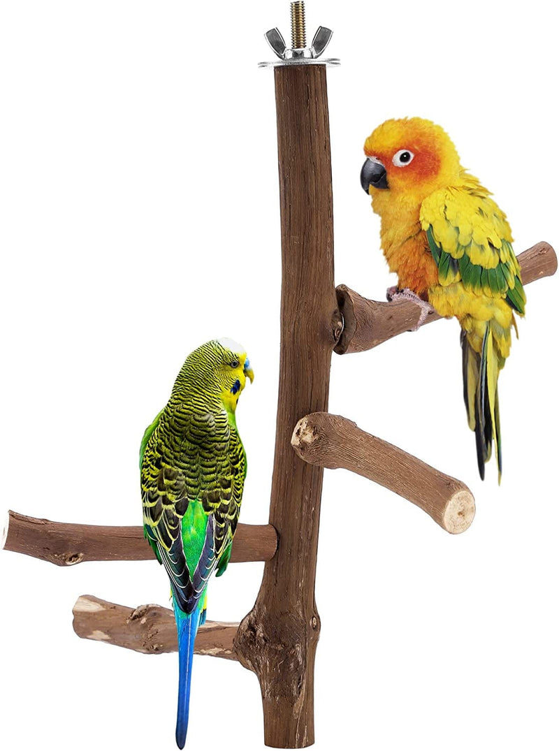 Cozycabin 4 Pcs Bird Perches Parrot Stand, Natural Wood Bird Perch Stand Bird Cage Accessories for Small Budgies Conure Parakeets Cockatiels Lovebirds