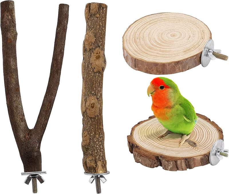 Filhome Bird Perch Stand Toy, Natural Wood Parrot Parakeet Branch Perch Bird Cage Platform Accessories for Cockatiels Conures Macaws Finches Love Birds(15Cm YYII)
