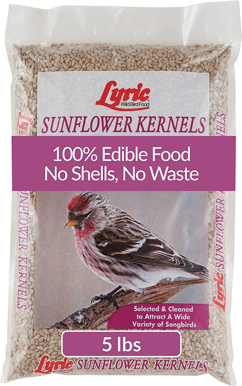 Lyric Sunflower Kernels Wild Bird Seed No Waste Bird Food Attracts Finches & More 25 Lb. Bag