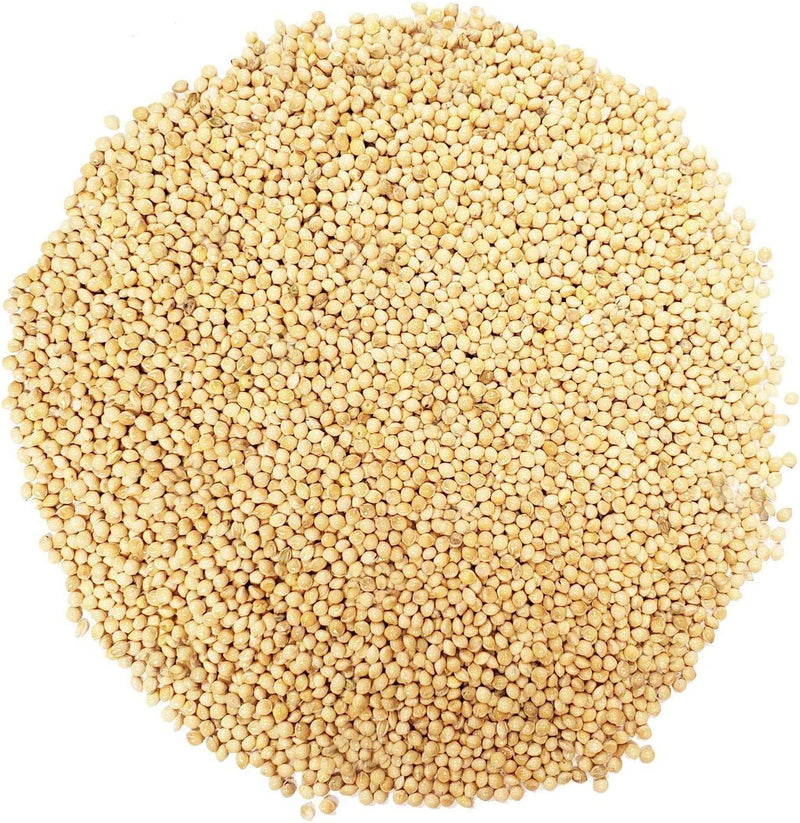 Backyard Seeds White Millet Bird Seed for Finches 8 Pounds (8 Pounds)