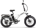 Soumye 48V 750W13AH 20" X4.0 Adult Step-Over/Step-Thru Folding Fat Tire E-Bike Mountain Electric Bicycle Beach Cruiser Snow Bike