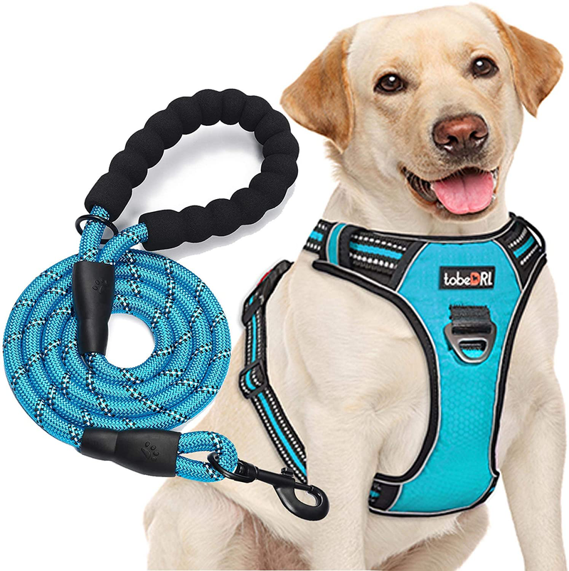tobeDRI No Pull Dog Harness Adjustable Reflective Oxford Easy Control Medium Large Dog Harness with A Free Heavy Duty 5ft Dog Leash (S (Neck: 13"-18", Chest: 17.5"-22"), Blue Harness+Leash)