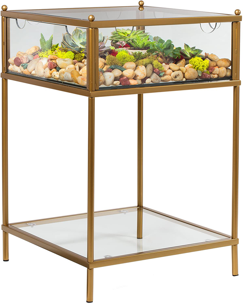 Square Terrarium Display End Table with Reinforced Glass in Gold Iron- 18" L x 18" W x 27" H- Great Indoor Decor for Home or Office- DIY Garden for Fern Moss Succulents- Holiday Wedding Gift