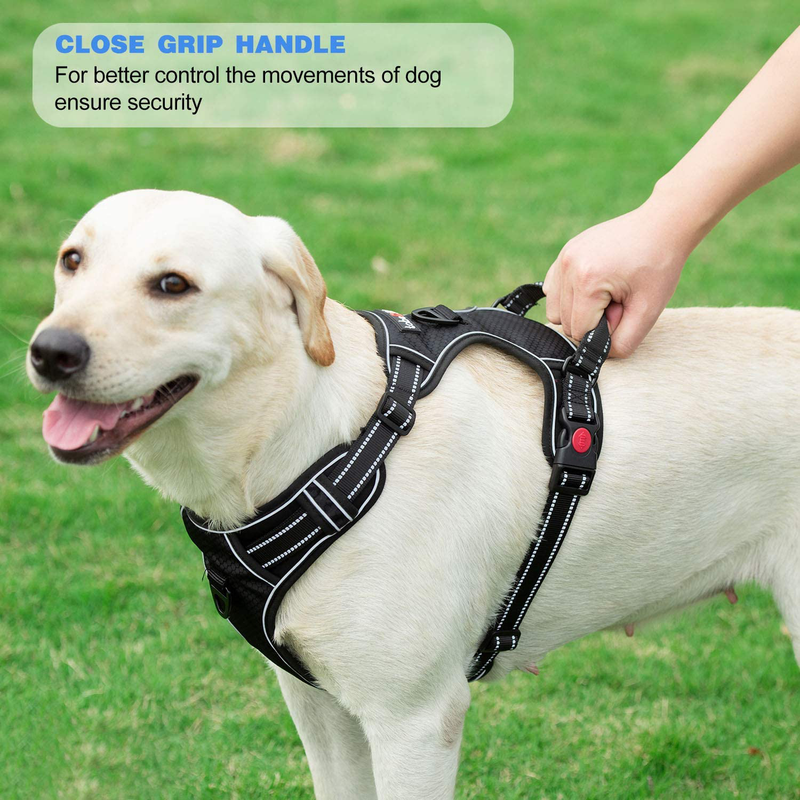 tobeDRI No Pull Dog Harness Adjustable Reflective Oxford Easy Control Medium Large Dog Harness with A Free Heavy Duty 5ft Dog Leash (S (Neck: 13"-18", Chest: 17.5"-22"), Blue Harness+Leash)
