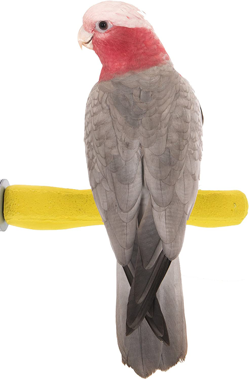 Sweet Feet and Beak Comfort Grip Safety Perch for Bird Cages - Patented Pumice Perch for Birds to Keep Nails and Beaks in Top Condition - Safe Easy to Install Bird Cage Accessories
