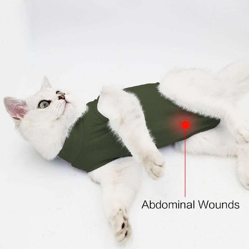 Ouuonno Cat Wound Surgery Recovery Suit for Abdominal Wounds or Skin Diseases, after Surgery Wear, Pajama Suit, E-Collar Alternative for Cats