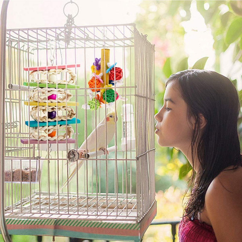 kathson 2 Pack Bird Chewing Toys, Parrot Hanging Colorful Rattan Ball Toy, Wooden Block Cage Bite Toys Suitable for Small Pet Birds Like Parakeet, Conure, Lovebirds, Cockatiels