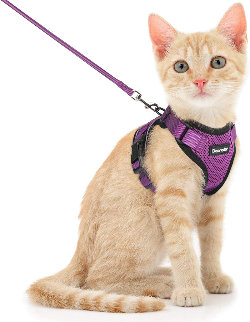 Dooradar Cat Leash and Harness Set, Escape Proof Safe Breathable Cat Vest Harness for Walking , Easy Control Soft Adjustable Reflective Strips Mesh Jacket for Cats, Pink, XS (Chest: 13.5” -16.0”)