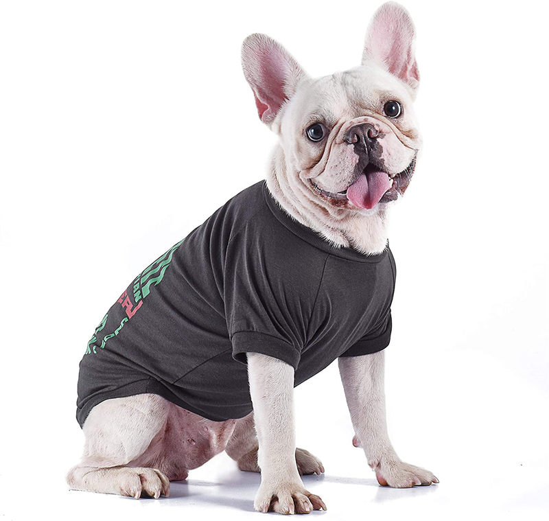 Star Wars for Pets Boba Fett Dog Tee | Star Wars Dog Shirt for Small Dogs | Size Small | Soft, Cute, and Comfortable Dog Clothing and Apparel, Available in Multiple Sizes