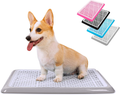 Pet Awesome Dog Potty Tray / Puppy Pee Pad Holder 25”x20” Indoor Wee Training for Small and Medium Dogs