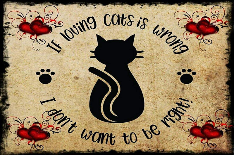 Cat Metal Wall Decor Cat Lover Saying Once upon a Time There Was a Girl Who Loved Cat Vintage Cat Art Print