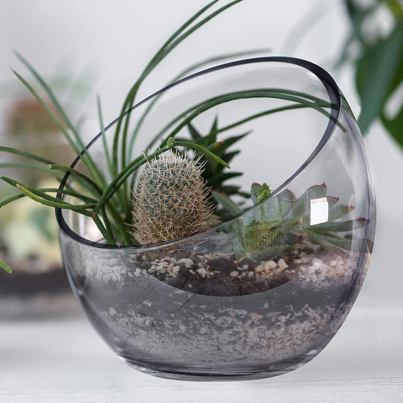 CYS EXCEL Glass Slant Cut Bubble Bowl (H-8" W-9") | Multiple Size Choices Slanted Globe Bowl Terrarium | Round Flower Vase Centerpiece