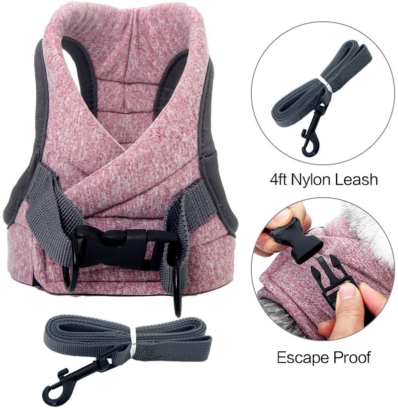Heywean Cat Harness and Leash - Ultra Light Escape Proof Kitten Collar Cat Walking Jacket with Running Cushioning Soft and Comfortable Suitable for Puppies Rabbits