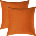 Mixhug Decorative Throw Pillow Covers, Velvet Cushion Covers, Solid Throw Pillow Cases for Couch and Bed Pillows, Burnt Orange, 20 x 20 Inches, Set of 2
