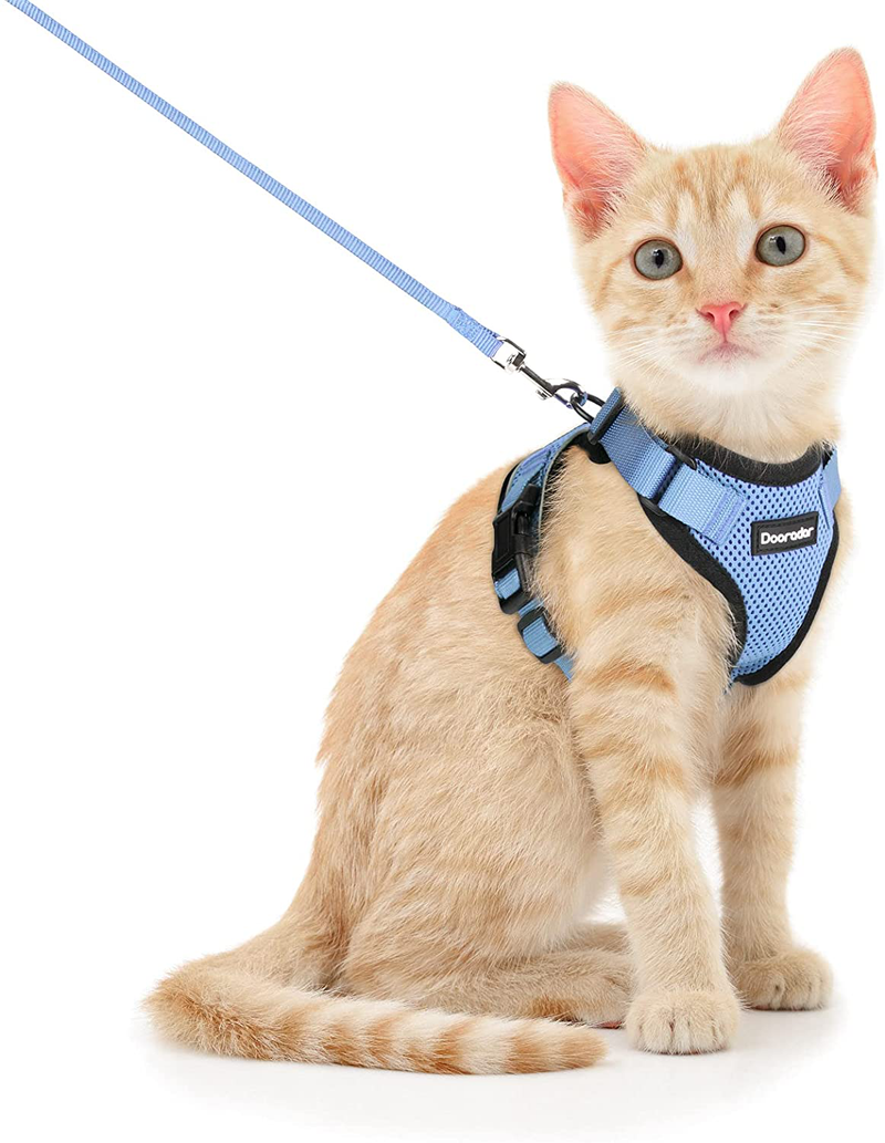 Dooradar Cat Leash and Harness Set, Escape Proof Safe Breathable Cat Vest Harness for Walking , Easy Control Soft Adjustable Reflective Strips Mesh Jacket for Cats, Pink, XS (Chest: 13.5” -16.0”)