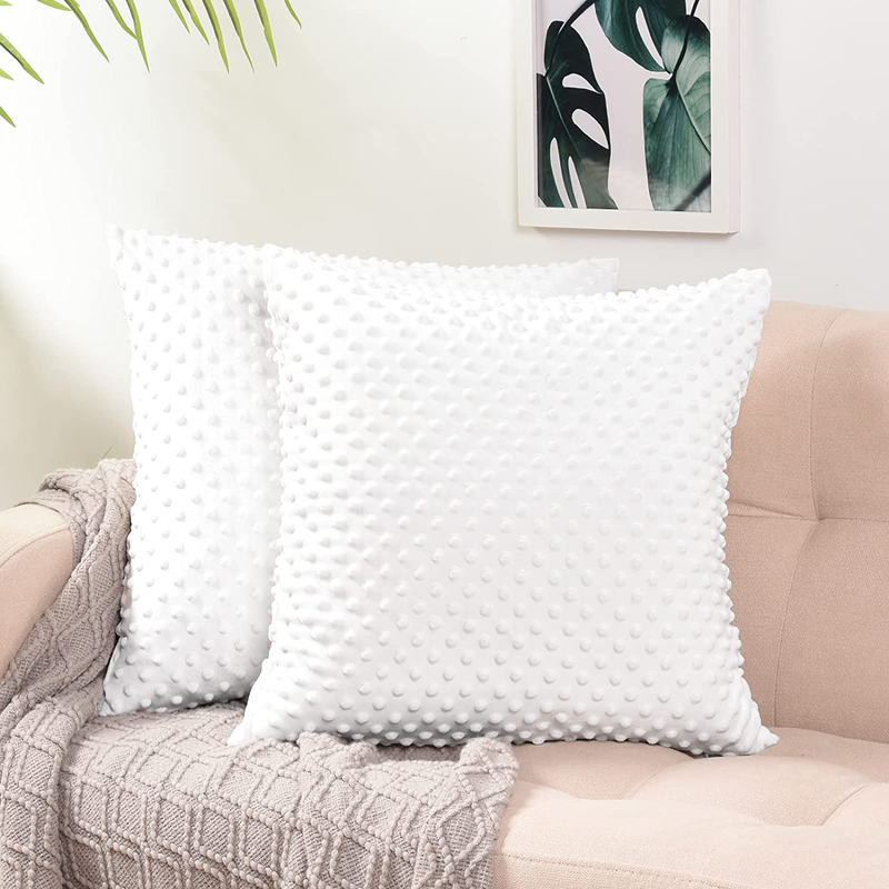 PHF Minky Dot Throw Pillow Cover 18"X 18", 2 Pack Soft Cozy Velvet Square Pillowcase, Holiday Home Decorative Pillow Cushion Cover for Couch Sofa Bed, White