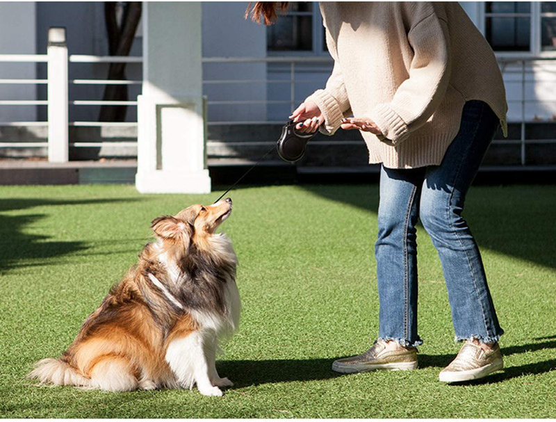 Fida Retractable Dog Leash, 16 ft Dog Walking Leash for Medium Dogs up to 44lbs, Tangle Free, Orange