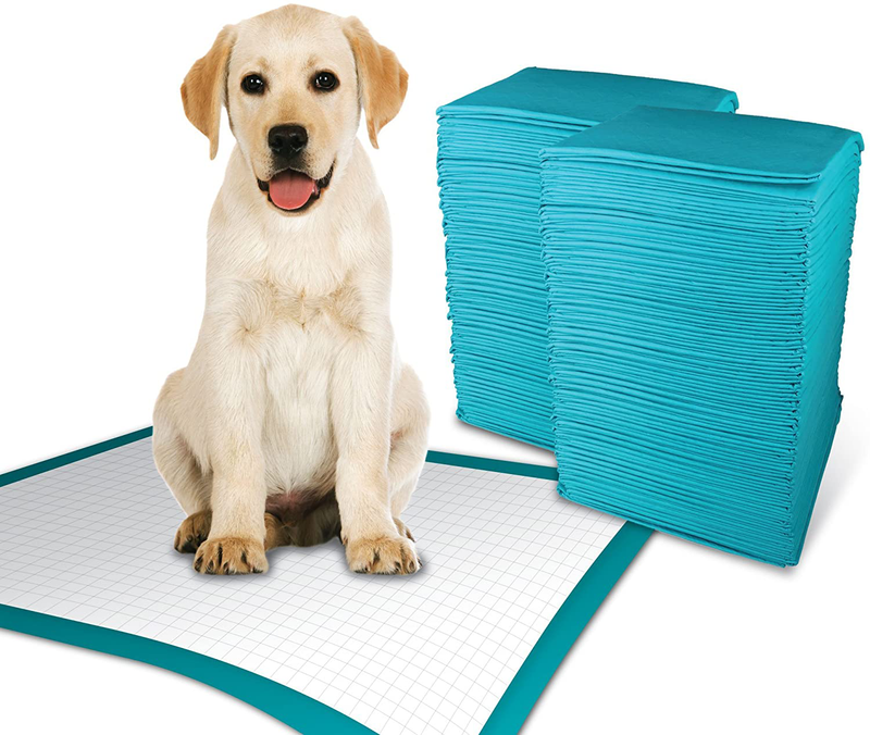 Simple Solution Training Puppy Pads | Extra Large, 6 Layer Dog Pee Pads, Absorbs Up to 7 Cups of Liquid | 28x30 Inches