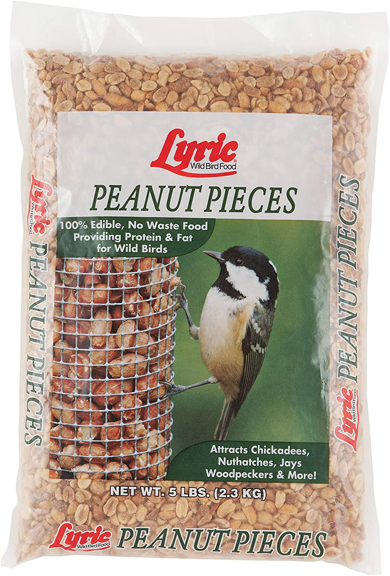 Lyric 2647464 Peanut Pieces Wild Bird Food, 5 lb