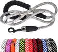 MayPaw Heavy Duty Rope Dog Leash, 6/8/10 FT Nylon Pet Leash, Soft Padded Handle Thick Lead Leash for Large Medium Dogs Small Puppy