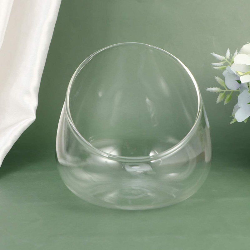 Hemoton Glass Terrarium Container Bowl Vase Bubble Miniature Micro Landscape Planter Fruit Jar Candy Dish Air Plant Holder DIY Display Box Transparent