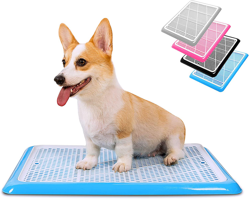 Pet Awesome Dog Potty Tray / Puppy Pee Pad Holder 25”x20” Indoor Wee Training for Small and Medium Dogs