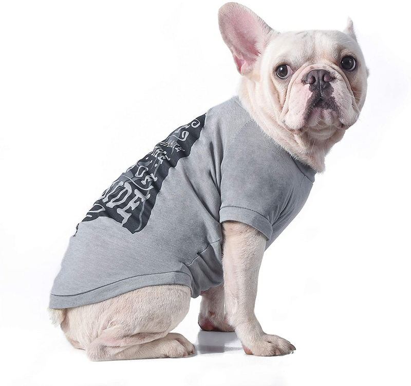 Star Wars for Pets "Don'T Underestimate the Power of My Bark Side" Dog Tee, Grey - Star Wars Pet Shirt for Dogs - Cute Dog Shirt, Pet Clothes for Dogs