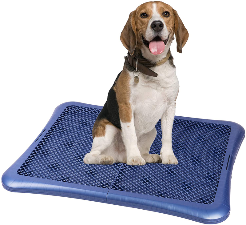Petphabet Training Pad Holder Floor Protection Dog Pad Holder Mesh Training Tray