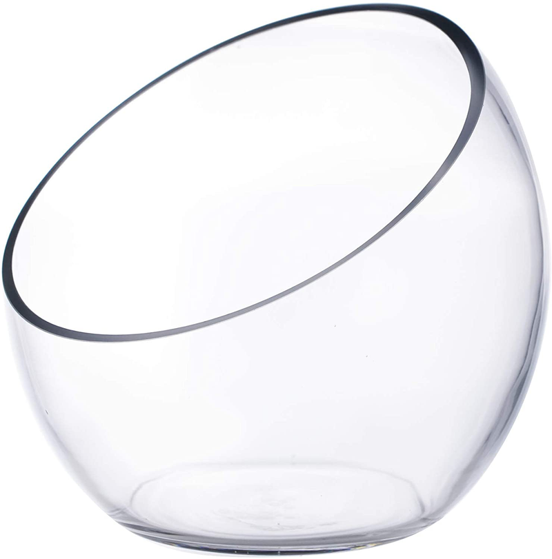 CYS EXCEL Glass Slant Cut Bubble Bowl (H-8" W-9") | Multiple Size Choices Slanted Globe Bowl Terrarium | Round Flower Vase Centerpiece