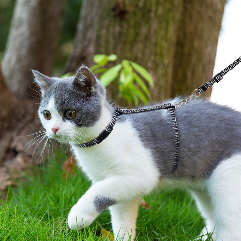 SCENEREAL Cat Harness with Leash and Collar Set - Escape Proof Harness and Collar for Walking Outdoor Stylish Animal Texture Style for Cats Small Puppies