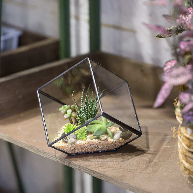 NCYP 3.93 inches Geometric Decorative Terrarium Cube Inclined Clear Glass Planter Tabletop Black Small Air Plant Holder Display Box Succulent Moss Flower Pot Containers DIY Centerpiece (No Plants)