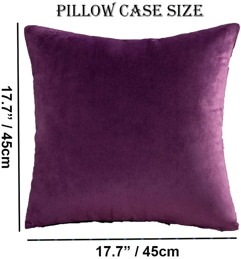 Throw Pillow Cover Velvet Purple - 18 X 18 Inch Purple Pillow Cushion Cover - Set of 2 Square Eggplant Cushion Case, Gift for Sofa, Chair, Bedroom and Nordic Home Decor (Eggplant Purple, 18"X18")