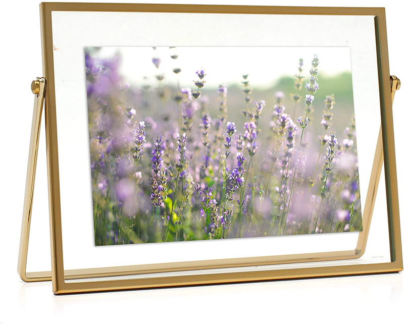 MIMOSA MOMENTS Gold Metal Floating Picture Frame (Gold, 8x10)