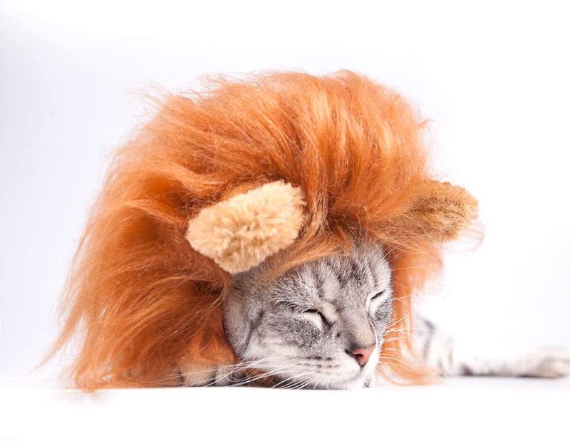 GALOPAR Cat Apparel, Halloween Pet Costume Dog Cat Costume Lion Mane Wig for Cats and Small Dogs, Party, Photo Shoots, Entertainment, Cosplay