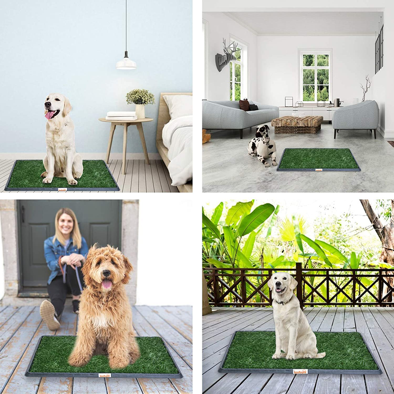 LOOBANI Indoor Outdoor Dog Potty Systems, Reusable and Portable Trainer Tray for Puppy Training, with 2 Packs Replacement Grass Mat.
