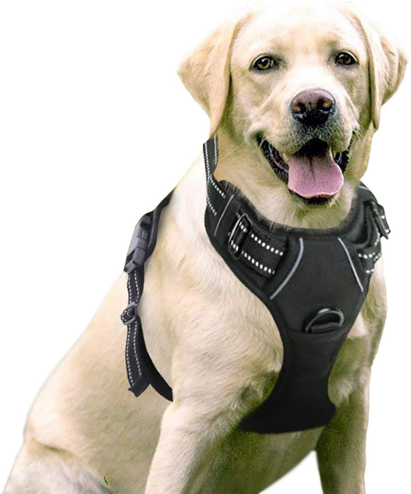rabbitgoo Dog Harness, No-Pull Pet Harness with 2 Leash Clips, Adjustable Soft Padded Dog Vest, Reflective No-Choke Pet Oxford Vest with Easy Control Handle for Large Dogs, Black, XL