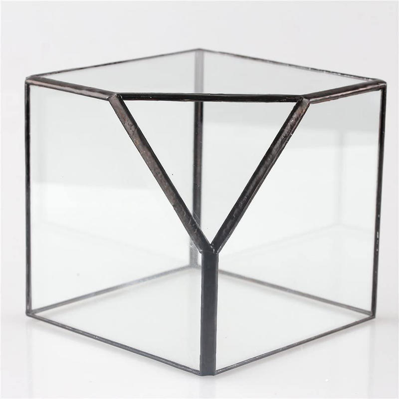 NCYP 3.93 inches Geometric Decorative Terrarium Cube Inclined Clear Glass Planter Tabletop Black Small Air Plant Holder Display Box Succulent Moss Flower Pot Containers DIY Centerpiece (No Plants)