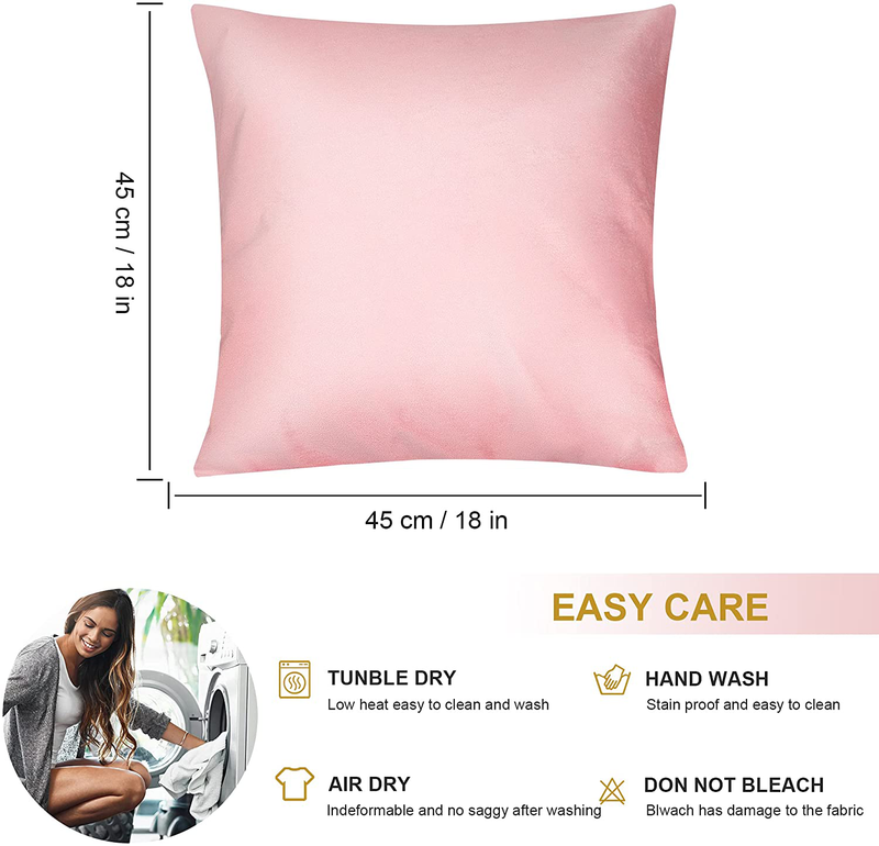 Esiposs 18 X 18 Cushion Covers Velvet Throw Pillow Covers Decorative Square Pillowcases for Bed Sofa Couch Car Office Yard, Pack of 2 Velvet Pillow Cases, Pink