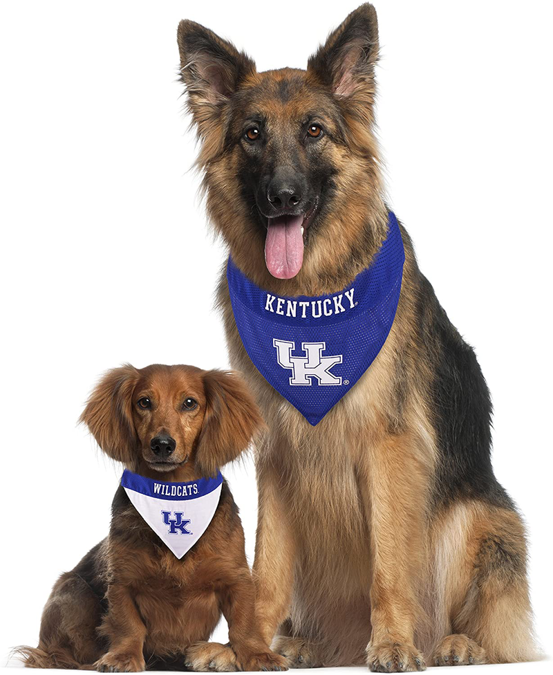 Pets First Kentucky Reversible Bandana for Dogs