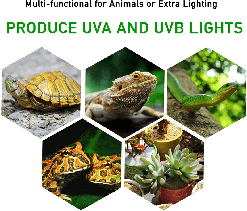 2-Pack 25W UVA UVB Lamp Lights with Bulbs | Heat and Light for Reptiles and Amphibian Tanks, Terrariums and Cages | Adjustable and Rotates 360° | Clip or Hang Light | Works with Various Light Bulbs