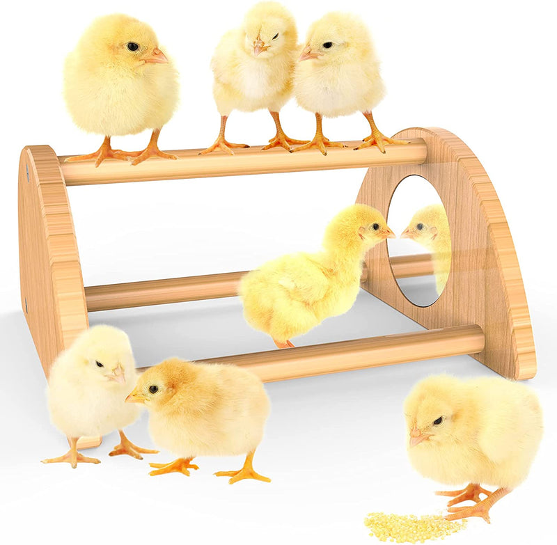 Ensayeer Bamboo Chicken Perch with Mirror, Strong Roosting Bar for Coop and Brooder, Training Perch for Large Bird, Hens, Parrots, Macaw, Easy to Assemble and Clean, Fun Toys for Chicken
