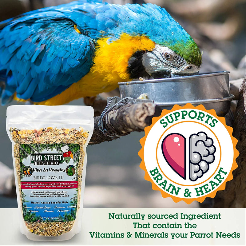 Bird Street Bistro Parrot Food Sample 4 Pack - Parakeet Food - Cockatiel Food - Bird Food - Cooks in 3-15 Min W/ Natural & Organic Grains - Healthy, Non-Gmo Fruits, Healthy Orientated Spices