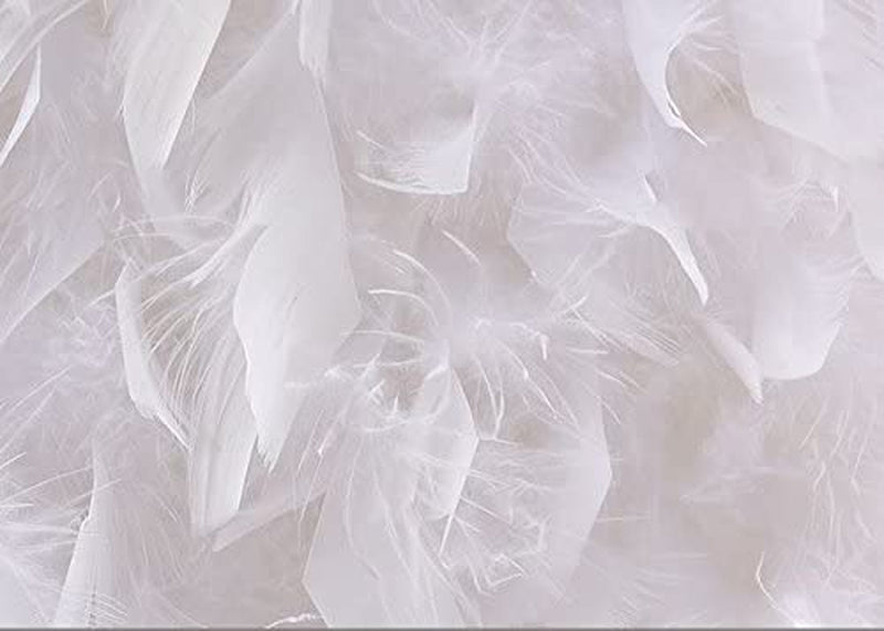 Surpars House White Feather Crystal Chandelier 4-Light Pendant Light