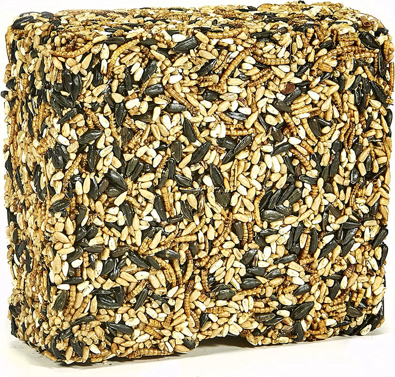 Kaytee Wild Bird Seed & Mealworm Seed Cake Food for Bluebirds, Chickadees, Woodpeckers and More, 1.4 Pound