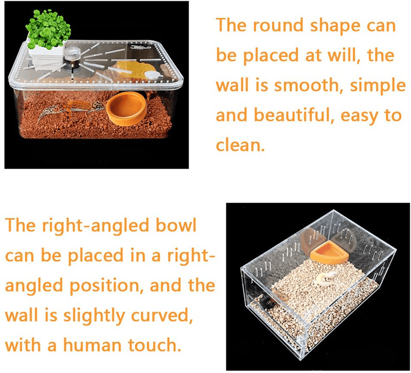 2PCS Reptile Food Dish Bowl Worm Water Dish Lizard Gecko Ceramic Pet Bowls, Mealworms Bowls Anti-Escape Mini Superworm Feeder Set with Long Tweezers Feeding Tools and Cleaning Tools